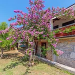 Paljar