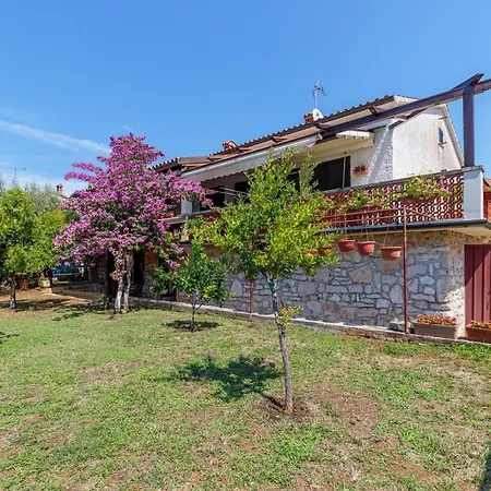 Apartment Paljar *