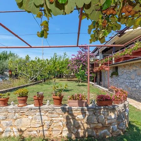 Paljar * Poreč